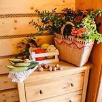 Chutor Grzegorza * Wysowa-Zdrój