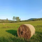 Chutor Grzegorza * Wysowa-Zdrój