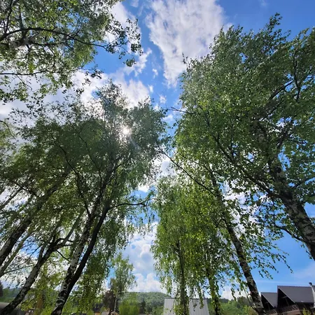 Chutor Grzegorza Orman Evi