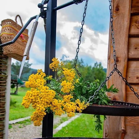 Lodge Chutor Grzegorza *