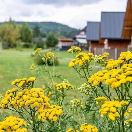 Hytte Chutor Grzegorza *