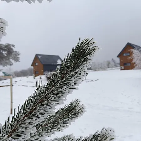 Chutor Grzegorza Hytte Wysowa-Zdrój