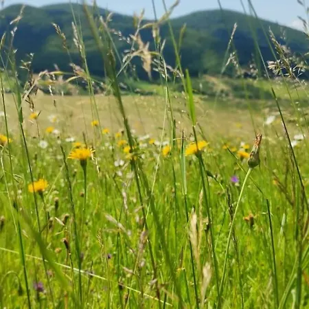 Hytte Chutor Grzegorza