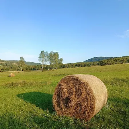 Chutor Grzegorza * Wysowa-Zdrój