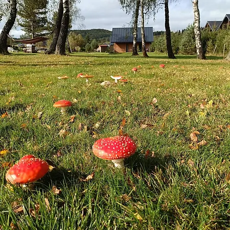 Chutor Grzegorza Domek letniskowy *