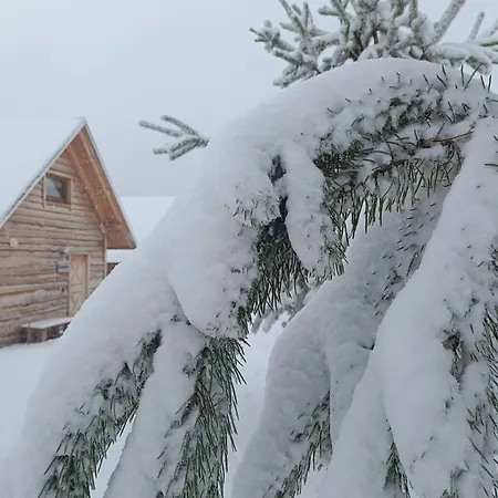 Chutor Grzegorza * Wysowa-Zdrój