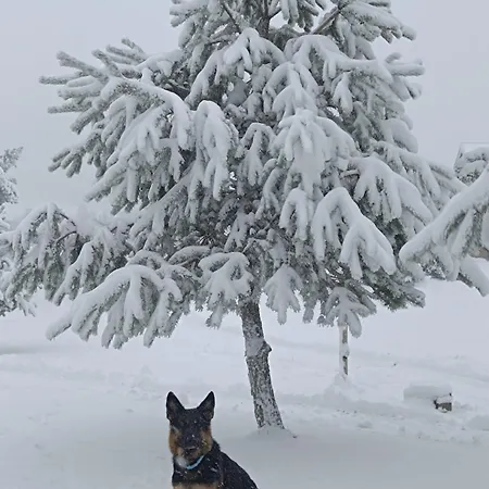 Chutor Grzegorza Hytte *