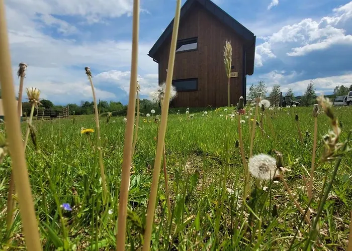 Chutor Grzegorza Domek letniskowy *
