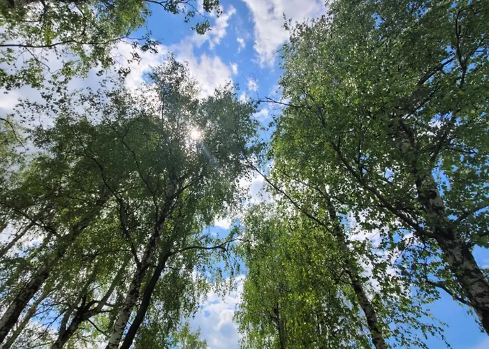 Chutor Grzegorza Domek letniskowy