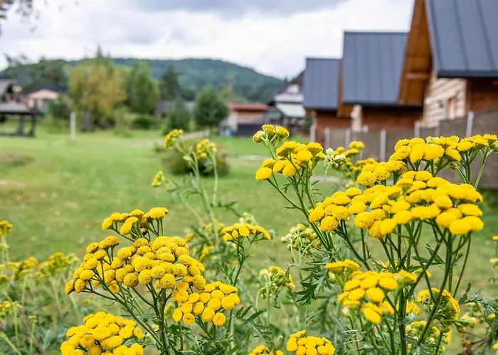 Domek letniskowy Chutor Grzegorza *