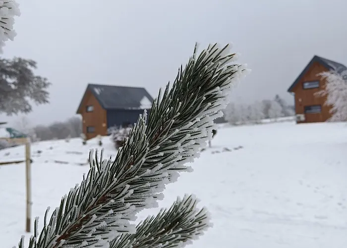 Chutor Grzegorza Domek letniskowy Wysowa-Zdrój