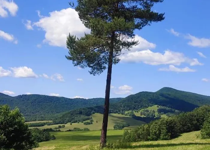 Chutor Grzegorza Domek letniskowy *