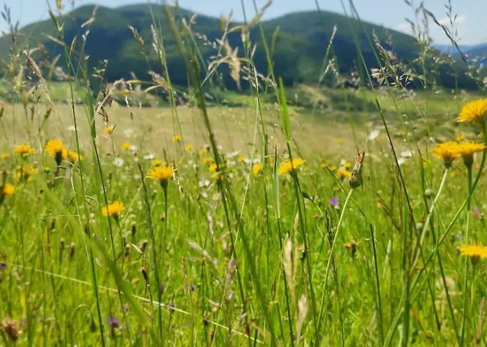 Domek letniskowy Chutor Grzegorza