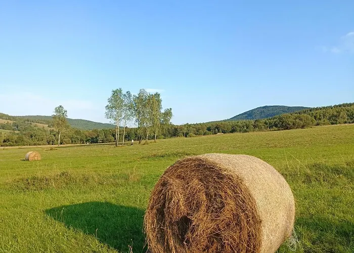 Chutor Grzegorza * Wysowa-Zdrój