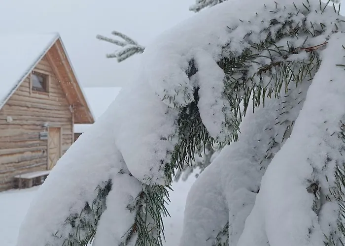 Chutor Grzegorza * Wysowa-Zdrój